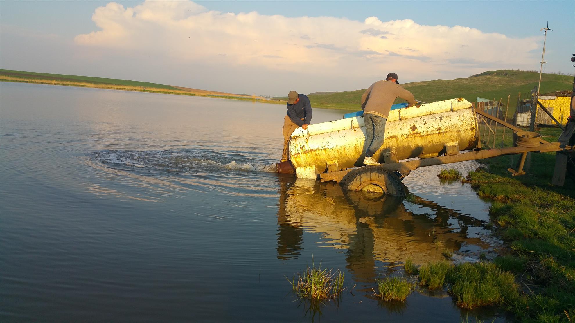 Populare cu crapi, 27 aprilie 2015, majoritatea de 1-2kg, in pondere mai mica de 500-1kg si 2-3kg. - 2015-04-27-190930.jpg